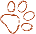 paw contor